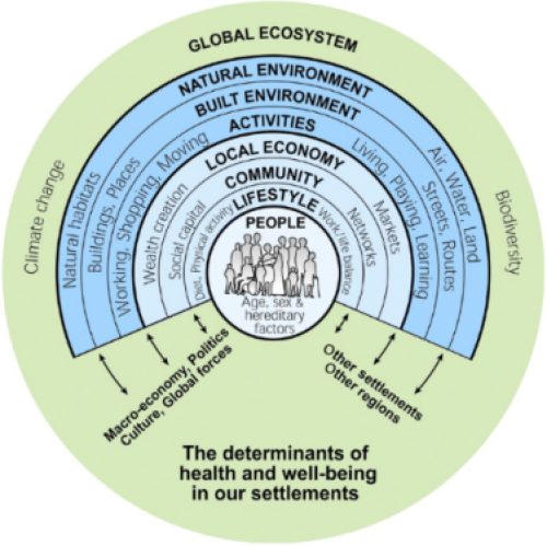 The determinants of health and well being in our settlements diagram, which shows various determinants of health from a personal to an environment level. Also including impacts of climate change and biodiversity.